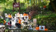 突破400萬人！黃山風景區今年游客量再創新高，中青年是主力