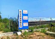 錢志國：打造示范基地樹品牌 葡萄走俏市場旺