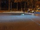 野猪深夜出没合肥街头，被出租车撞死，交警：车主担全责