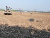 老人疑撿花生被卷入收割機身亡 當地政府回應