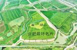 覆盖200万人口！合肥新谋划