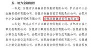 ​合肥高新担保再获融资担保机构支持地方发展一等奖      