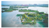 铜陵湿地公园风景美