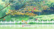 阜陽：氣溫“反撲”，直沖28℃