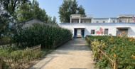 石湖鄉婦聯三步走推進美麗庭院創建工作