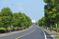 2023年度普通國省干線公路養護工程(巢湖片區)項目提前47天交工驗收