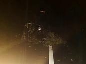 濟廣高速路上樹木傾倒占道 六安巡邏民警冒雨挪樹除隱患