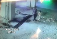 奶奶為救1歲孫子被惡犬撕咬 孩子父親：治療費花了10多萬 40多天未找到狗主人 警方：仍在調查 還在查找
