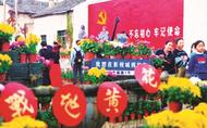 淮南焦崗湖：花中君子齊綻放 邀你一起來(lái)賞菊