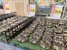 今年大闸蟹便宜了    价格比往年下跌两成以上；主因系丰产致供大于求