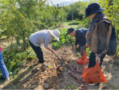 天橋街道喻義巷社區：九九重陽節 孝善敬老行