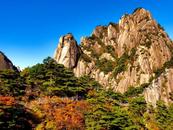 層林盡染，色彩斑斕，黃山進入最佳賞秋時間