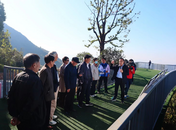 廬江縣組織縣處級退休干部開展重陽節主題活動