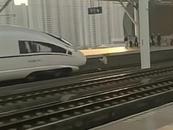 網(wǎng)傳寧波有人被高鐵列車撞倒 車站回應(yīng)：已送醫(yī)救治