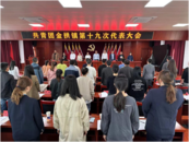 懷寧縣金拱鎮：圓滿完成團委換屆工作