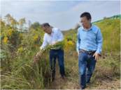 懷寧石牌：鎮(zhèn)村聯(lián)合發(fā)力鏟除“加拿大一枝黃花”  