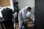 英法等国闹臭虫   酒店、地铁、电影院、医院等场所频频发现