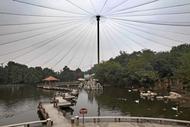 合肥野生動物園最新通知
