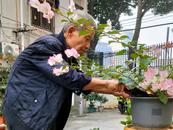 老有所樂 | “養花達人”馬廣芝：守望四季靜待滿園花開