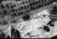 突發(fā)！以軍展開突襲行動