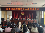 共青團懷寧縣石牌鎮第十八次代表大會順利召開