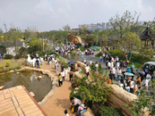 假日打卡合肥園博園： 盡享風景之美，不忘文明出游