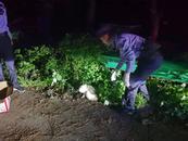“北極狐”路邊受傷，霍山警民攜手救助