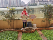 助苗成長 收獲快樂