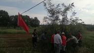 懷寧金拱：守護雙河村生態安全，全力鏟除“加拿大一枝黃花”