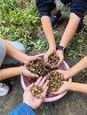 陶庆美：花生之味