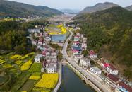 宜秀區楊橋鎮：振興繪就鄉村新圖景