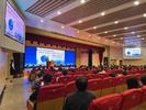 合肥近三年新增就业参保大学生近百万人