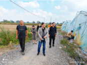 常墳鎮南湖村：扶貧大棚穩就業強幫扶