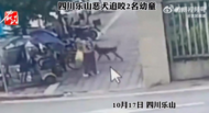 四川又一惡犬追咬2名幼童，警方回應