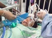 被惡犬咬傷2歲女童家屬發起200萬元籌款 已委托律師維權
