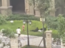 成都2岁幼童小区内遭大型犬撕咬！受伤严重！警方回应