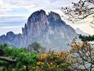 长假第四天，黄山风景区迎客29645人，宏村西递皆迎客流高峰