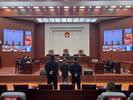 黄山陈某某滥伐林木，判刑并支付滥伐区域碳汇价值损失