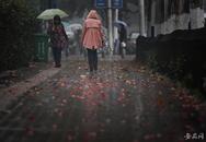 寒露風將影響安徽 明晨江淮之間和沿江地區有霧