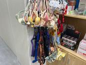 記者探訪合肥養犬現狀：疫苗接種量增多，防狗神器熱銷