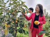 肥西縣官亭鎮又添網紅打卡地
