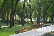 合肥翡翠湖公園、南艷湖公園“拆圍透綠”最新進展！項目順利完成評標工作  