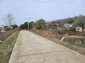 巢湖市交通運輸局：農村公路養護工程專項安保  為群眾出行系上“安全帶”
