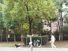 因前期选址原因，合肥犬只收容中心还未建好