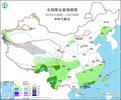 大到暴雨，局部大暴雨！中央气象台发布台风“小犬”移动路径