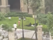 被狗咬傷女童仍未脫離生命危險！家長：狗主人還未道歉賠付