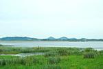 黄陂湖湿地正式开园！为合肥市第二大湖泊