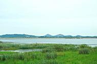 黃陂湖濕地正式開園！為合肥市第二大湖泊
