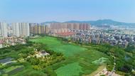 ?淮北相山區任圩街道：辦實事解民憂     