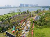 合肥约1.5万市民行走“青春少荃湖”
